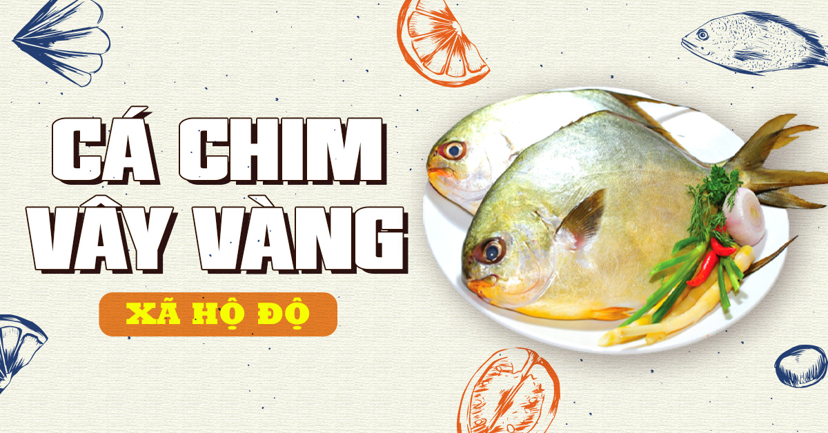 Cá chim vây vàng Hộ Độ
